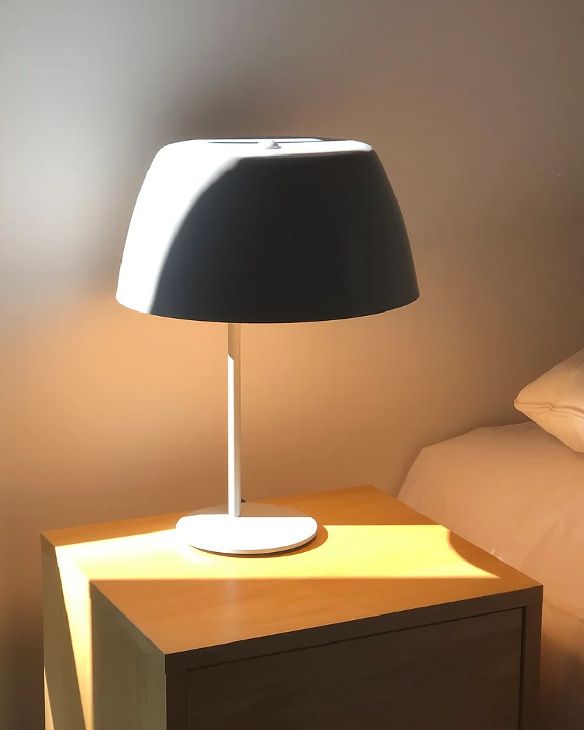 Renata mesa_Mesa de trabajo 1 copia 3